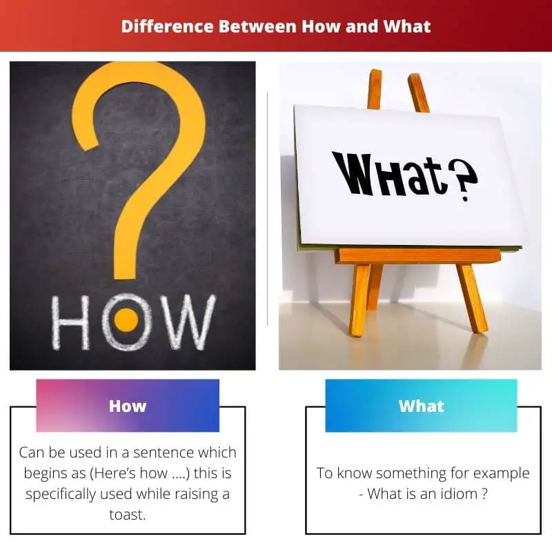 Difference Between How and What