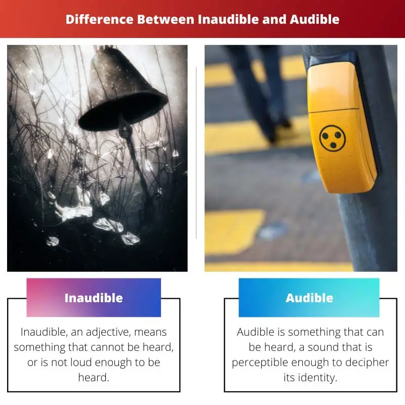 Difference Between Inaudible and Audible