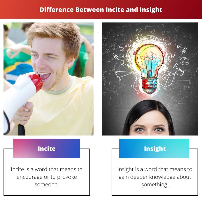Difference Between Incite and Insight