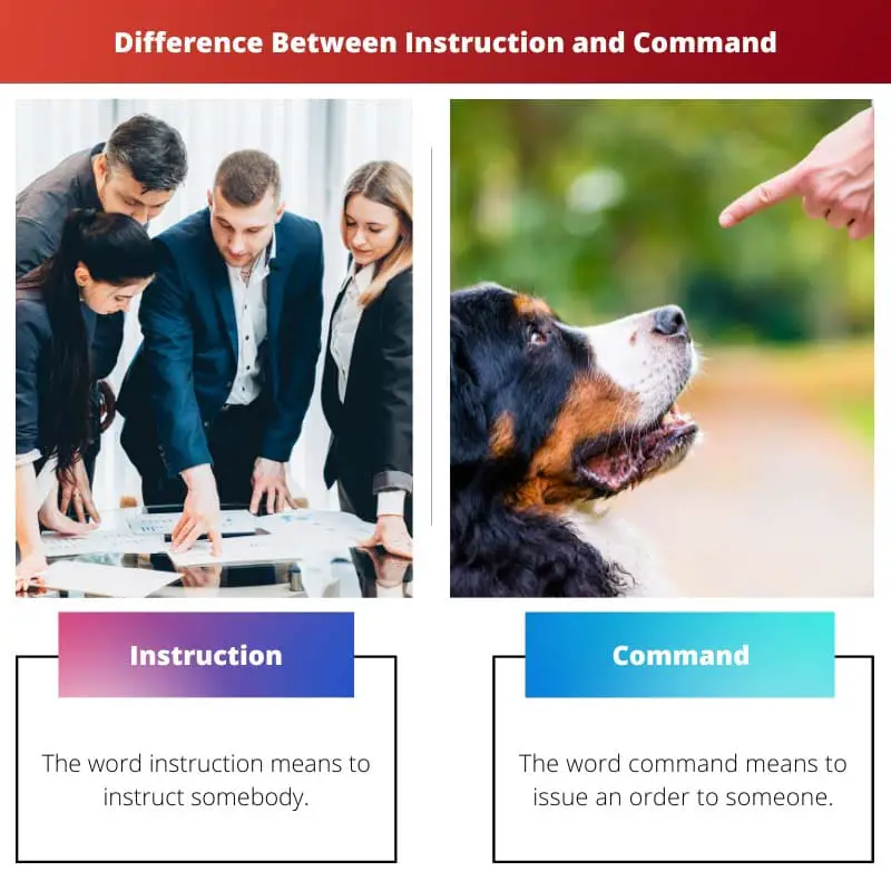 Difference Between Instruction and Command