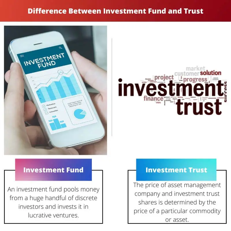 Difference Between Investment Fund and Trust