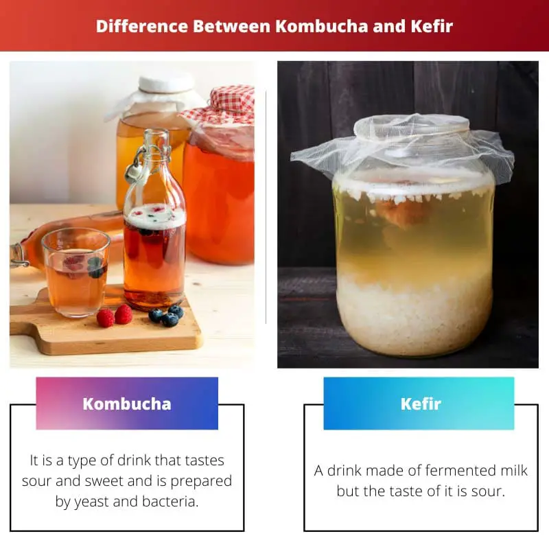 Difference Between Kombucha and Kefir