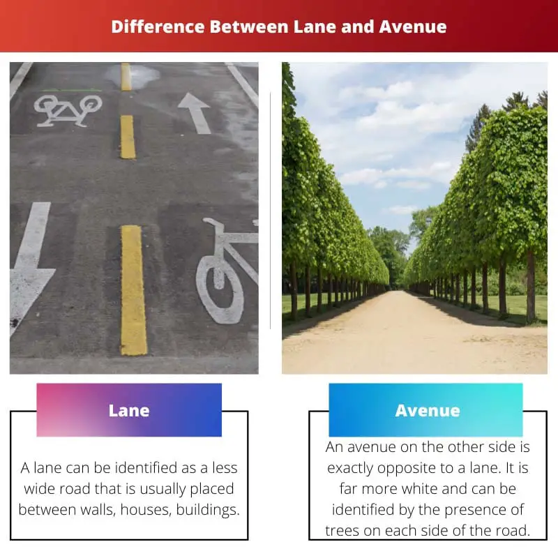 Difference Between Lane and Avenue