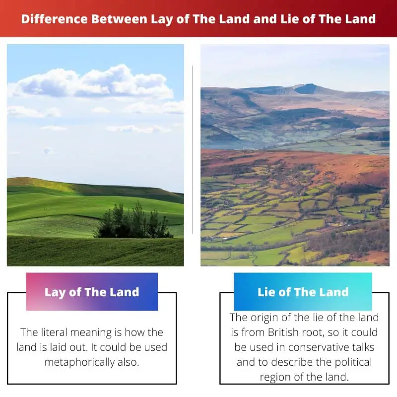 Difference Between Lay of The Land and Lie of The Land
