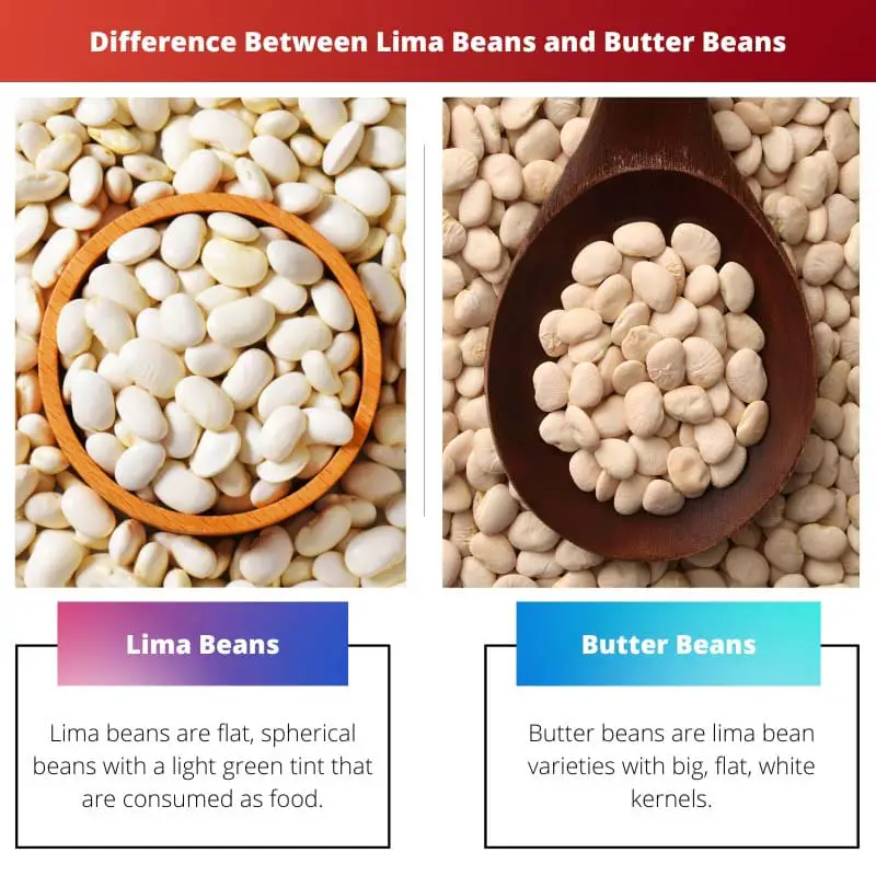 Difference Between Lima Beans and Butter Beans