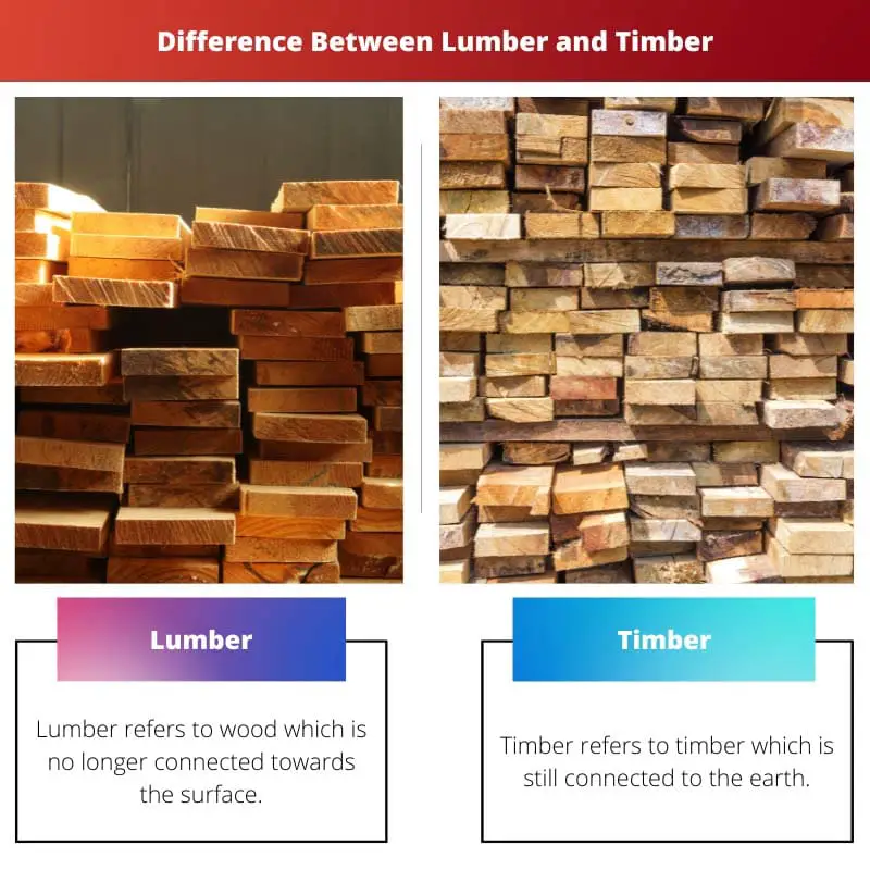 Difference Between Lumber and Timber