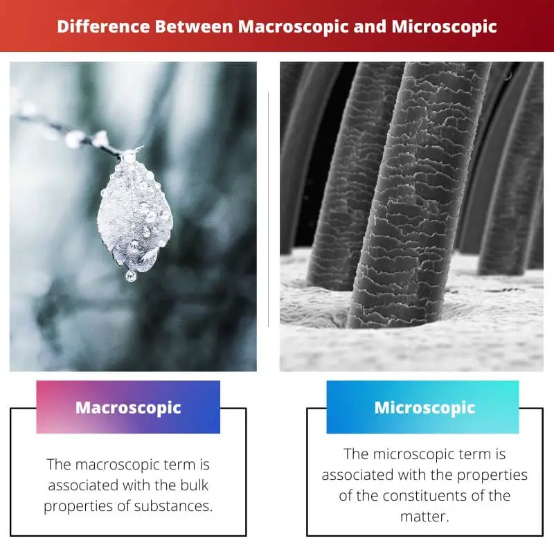 Difference Between Macroscopic and Microscopic