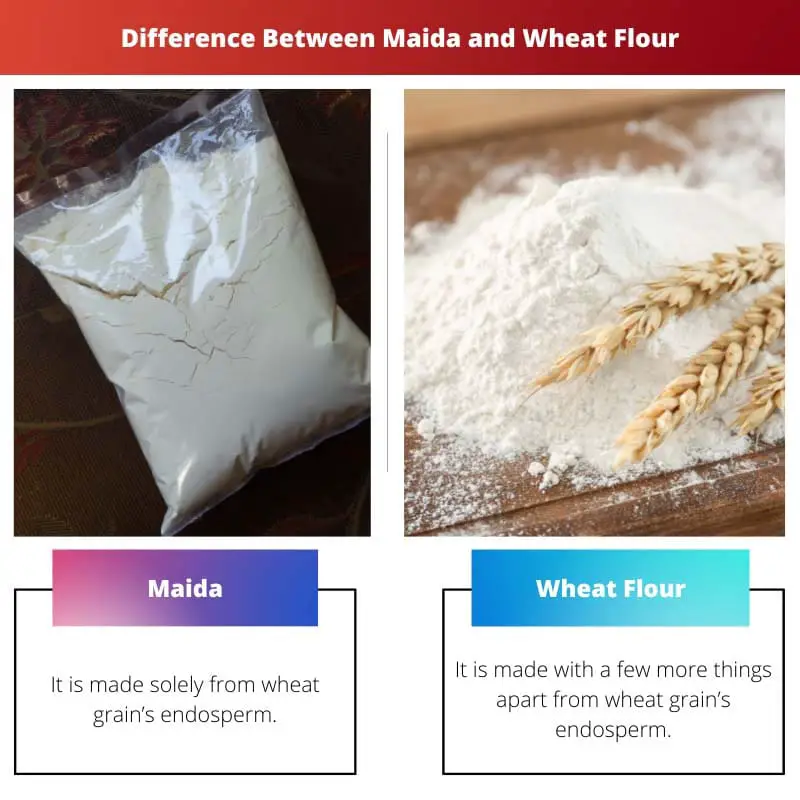 Difference Between Maida and Wheat Flour
