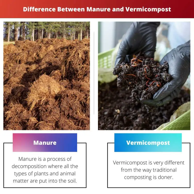 Difference Between Manure and Vermicompost