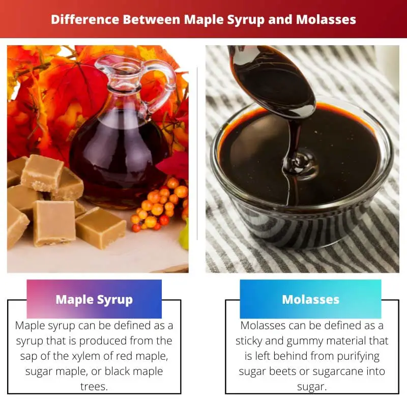 Difference Between Maple Syrup and Molasses