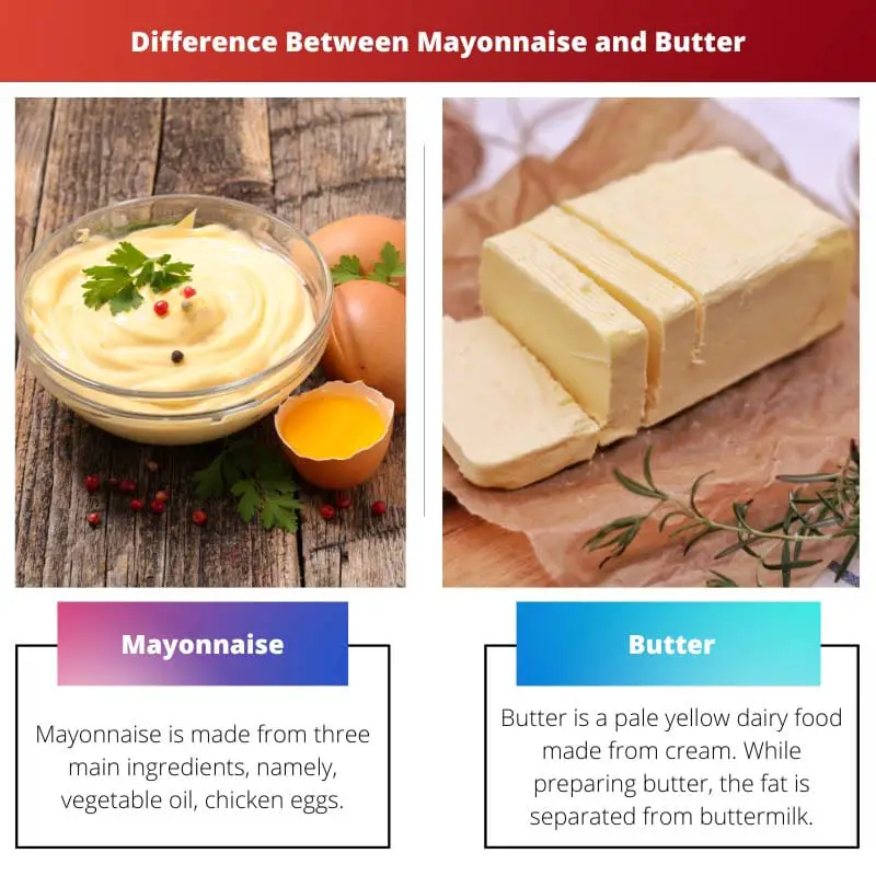 Difference Between Mayonnaise and Butter