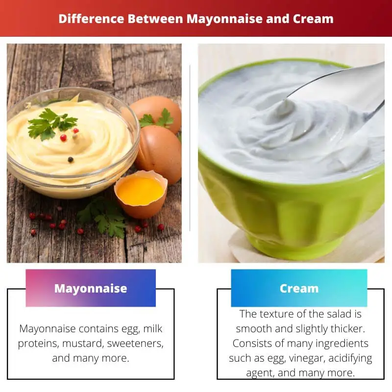 Difference Between Mayonnaise and Cream