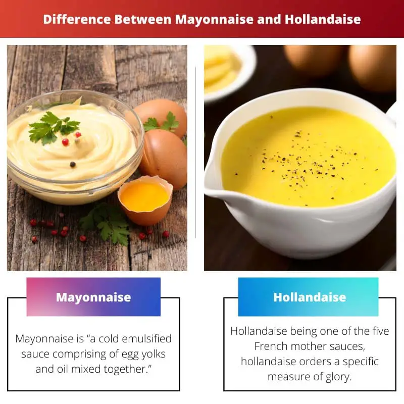 Difference Between Mayonnaise and Hollandaise