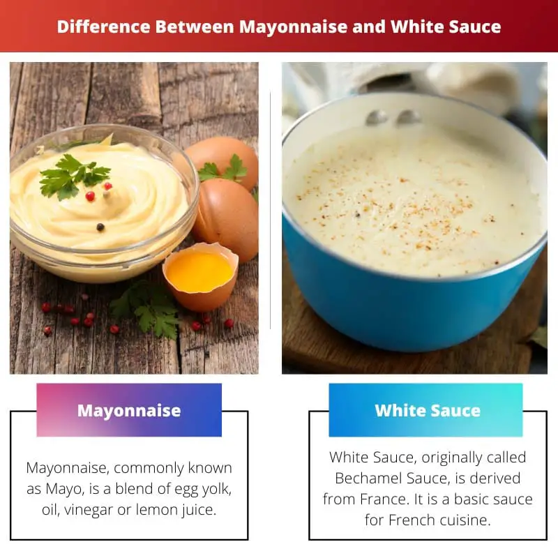 Difference Between Mayonnaise and White Sauce