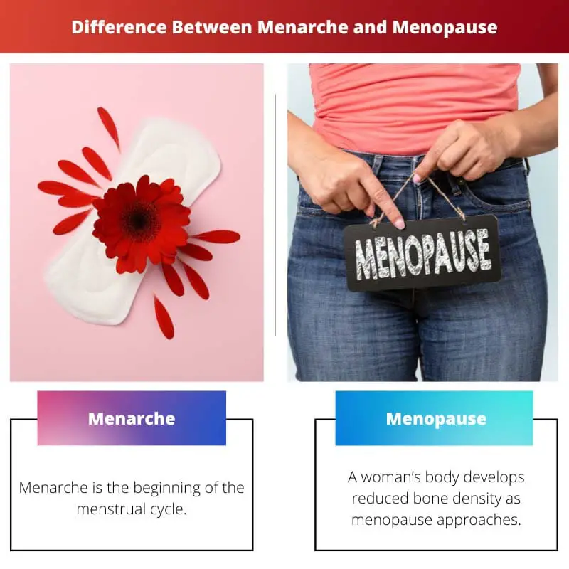 Difference Between Menarche and Menopause