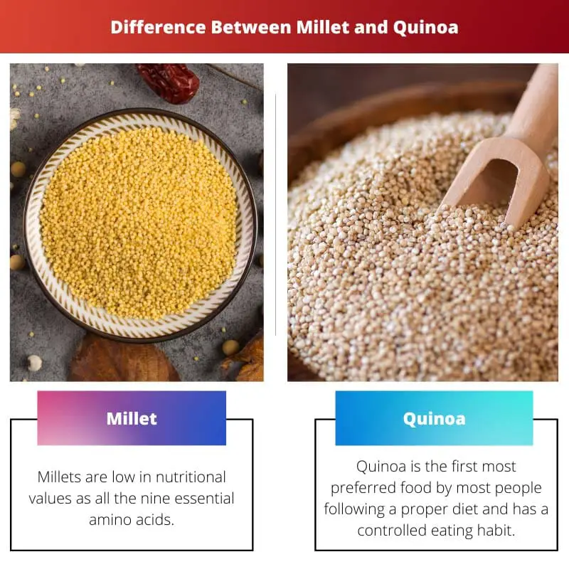 Difference Between Millet and Quinoa