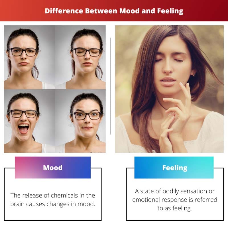 Difference Between Mood and Feeling