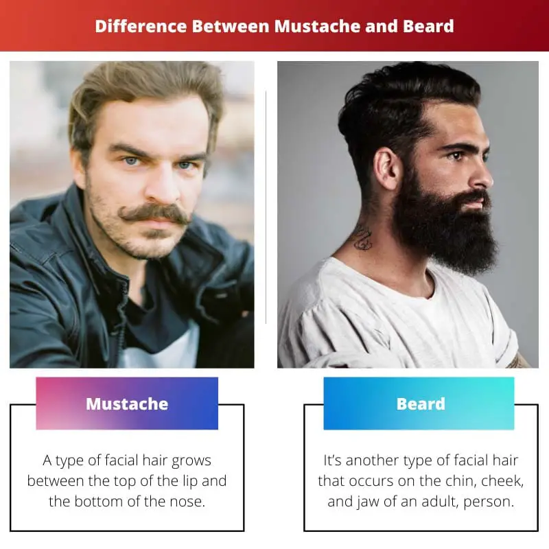 Difference Between Mustache and Beard