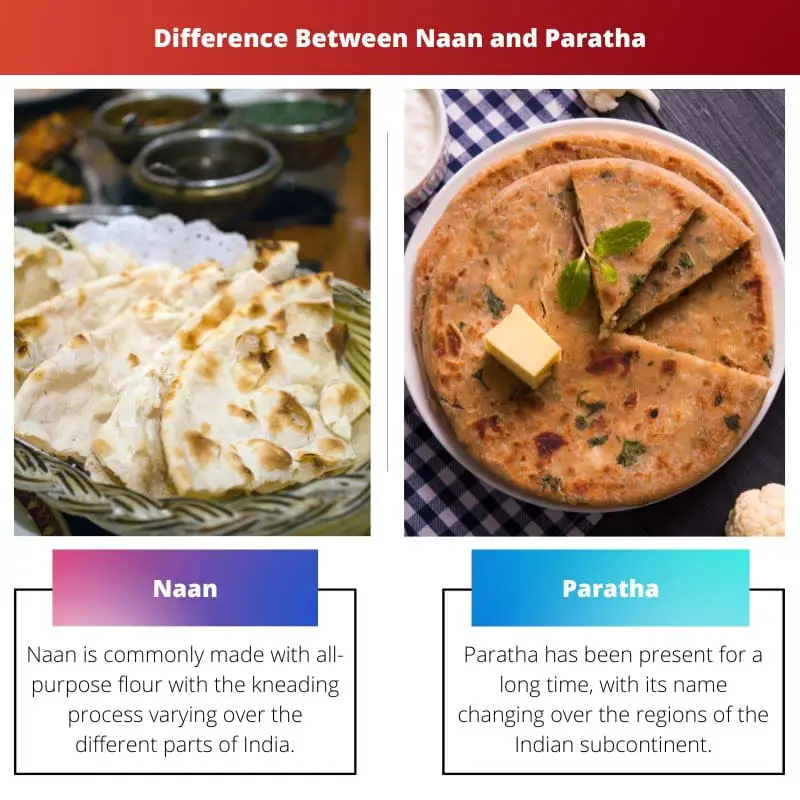 Difference Between Naan and Paratha