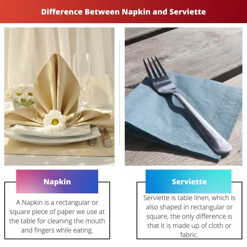 Difference Between Napkin and Serviette