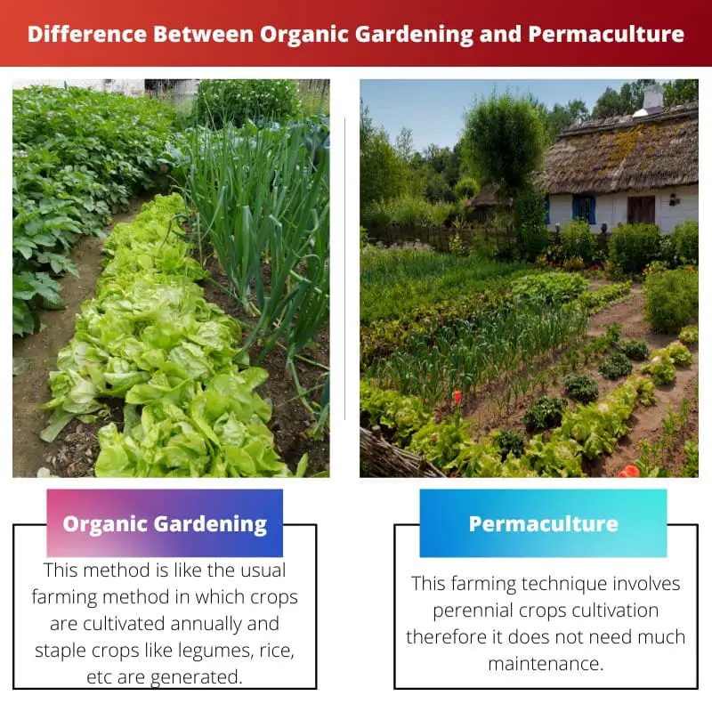 Difference Between Organic Gardening and Permaculture
