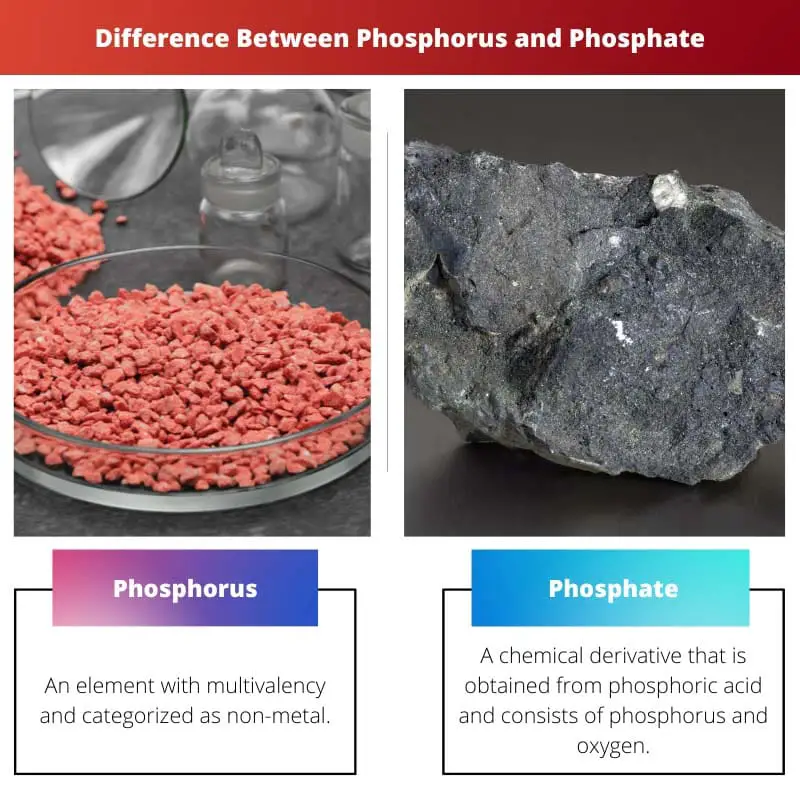 Difference Between Phosphorus and Phosphate