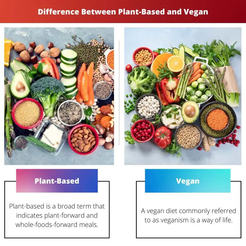 Difference Between Plant Based and Vegan