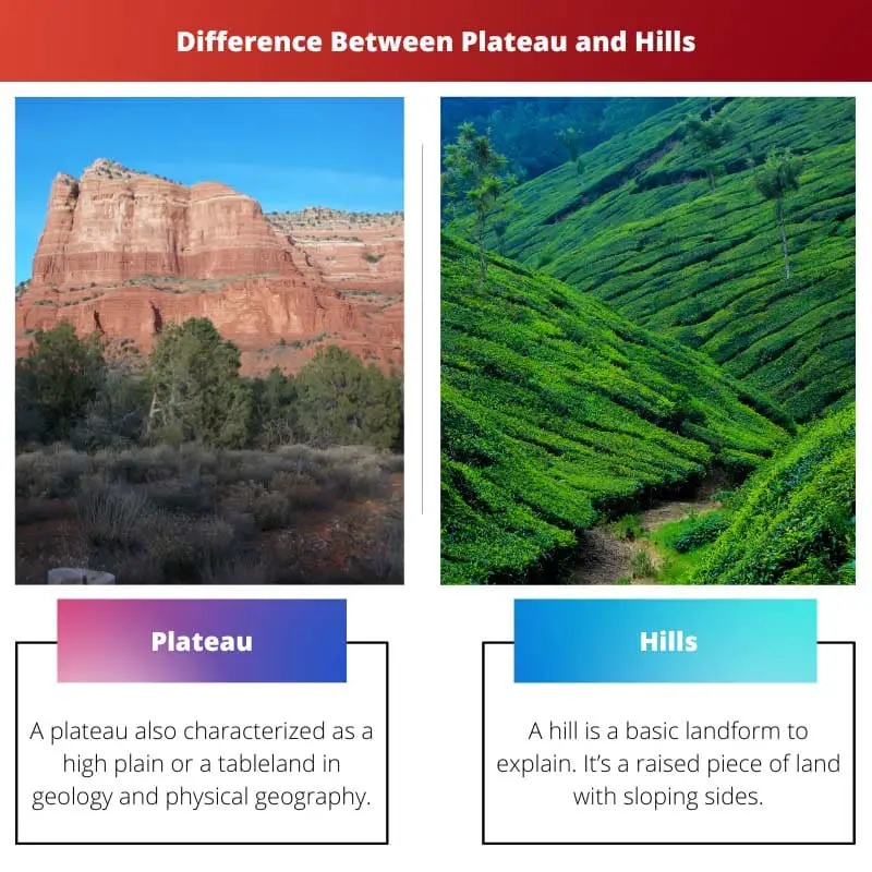 Difference Between Plateau and Hills