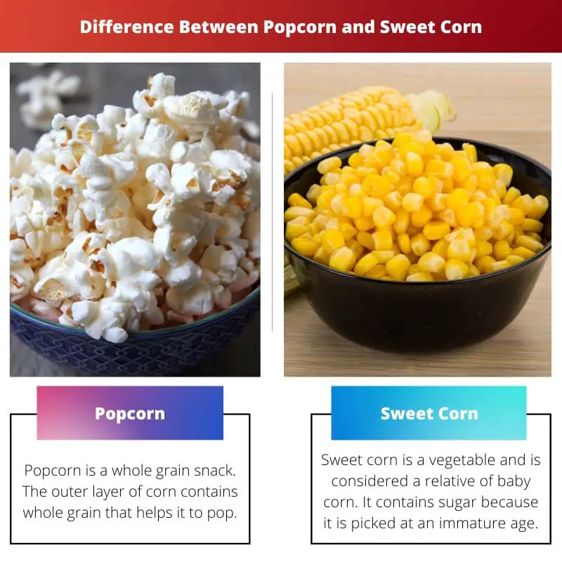 Difference Between Popcorn and Sweet Corn