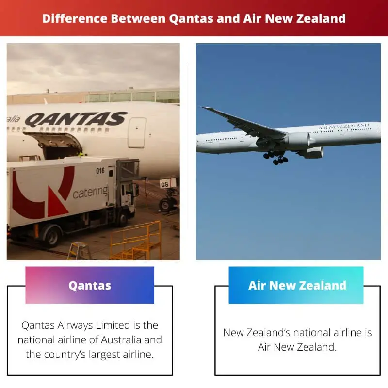 Difference Between Qantas and Air New Zealand