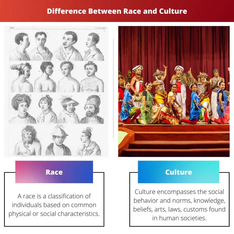 Difference Between Race and Culture