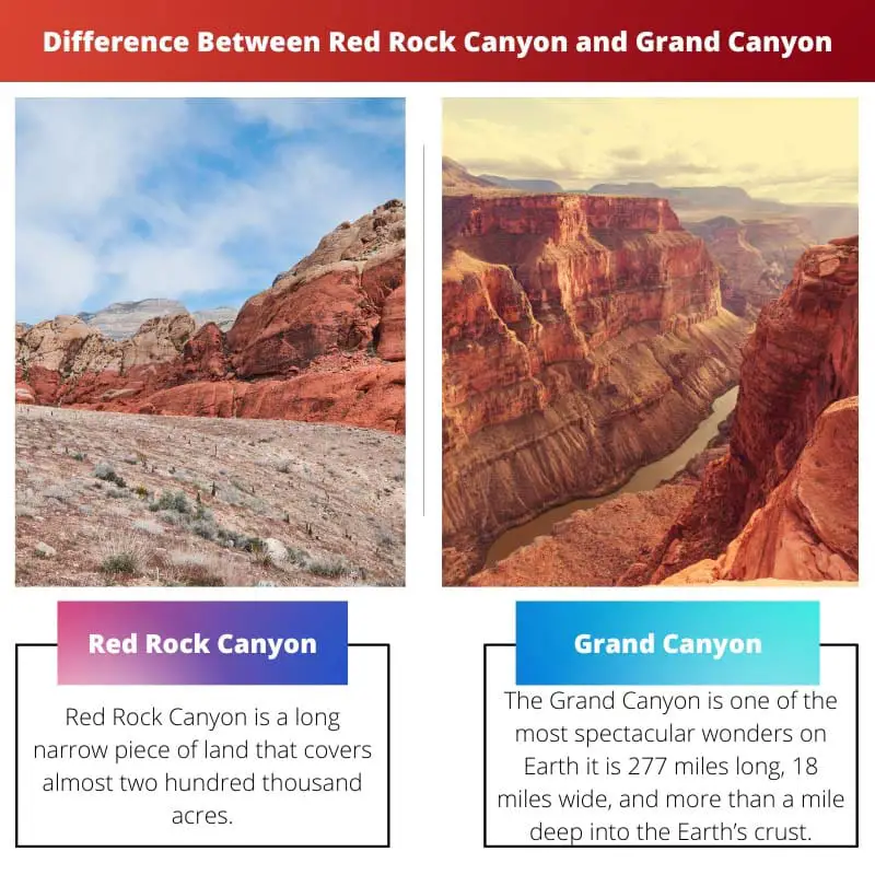 Difference Between Red Rock Canyon and Grand Canyon