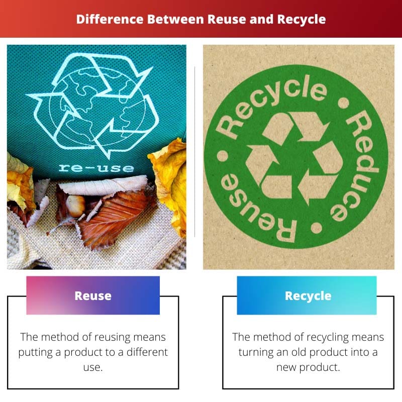 Difference Between Reuse and Recycle