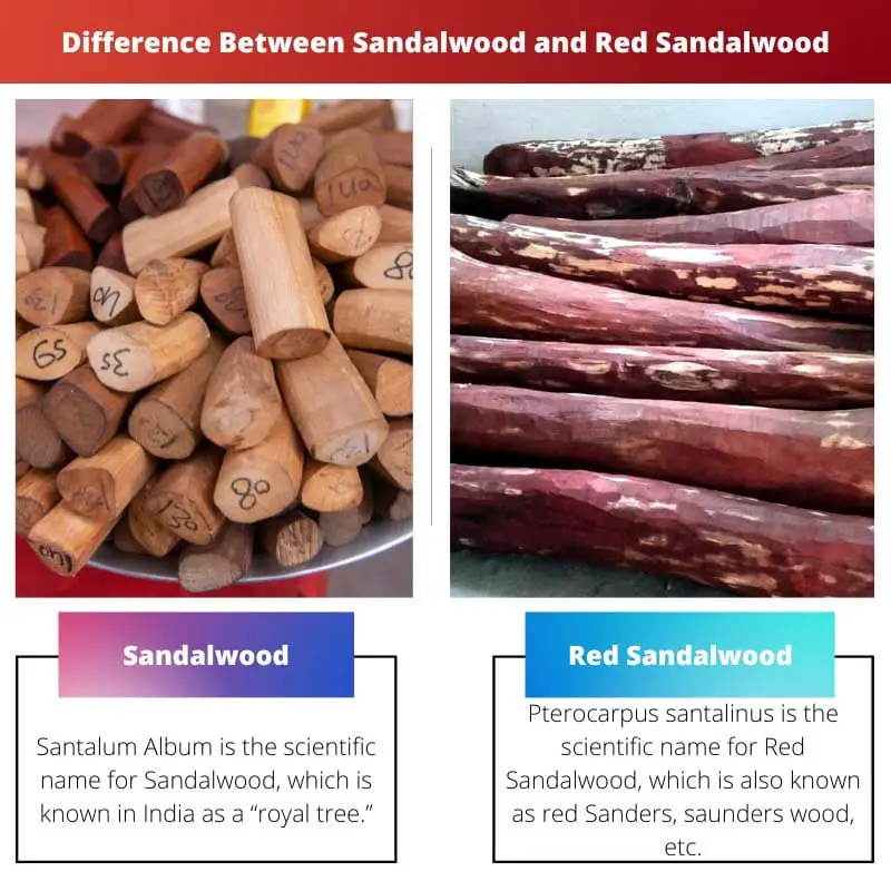 Difference Between Sandalwood and Red Sandalwood