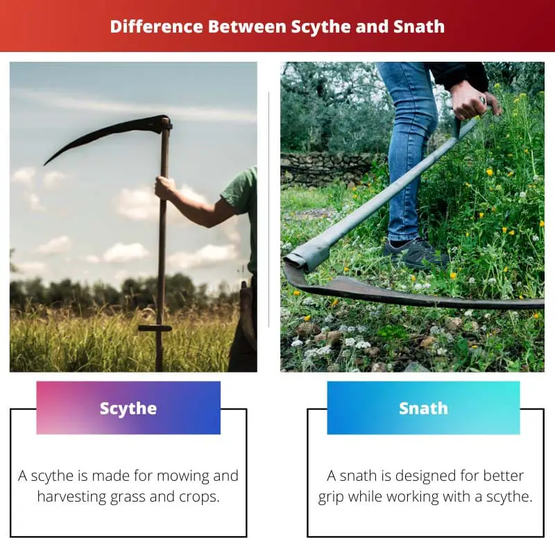 Difference Between Scythe and Snath