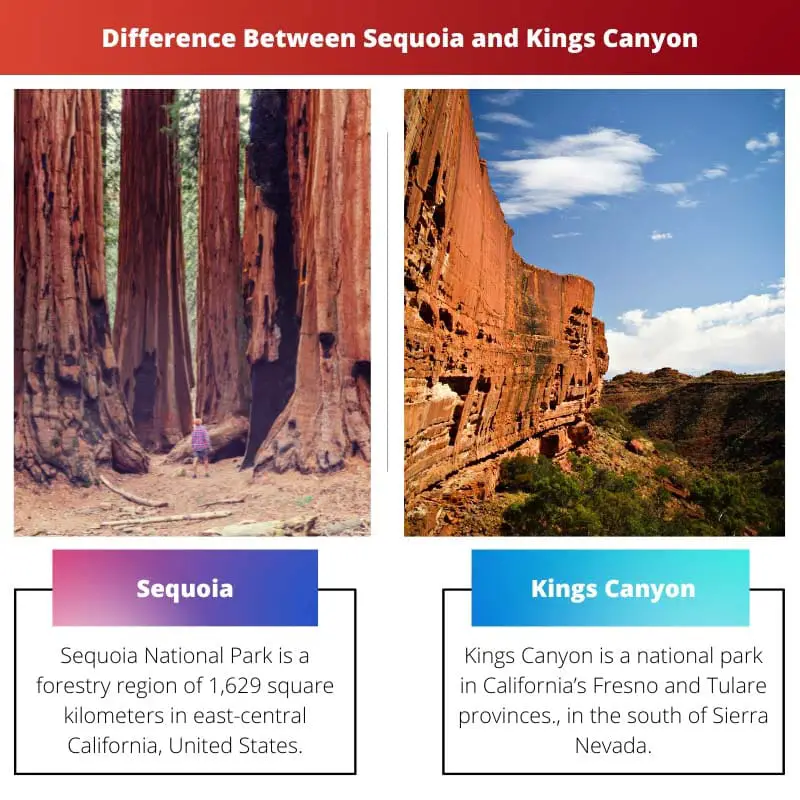 Difference Between Sequoia and Kings Canyon