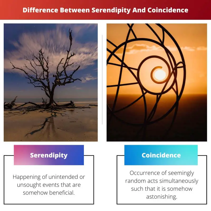 Difference Between Serendipity And Coincidence