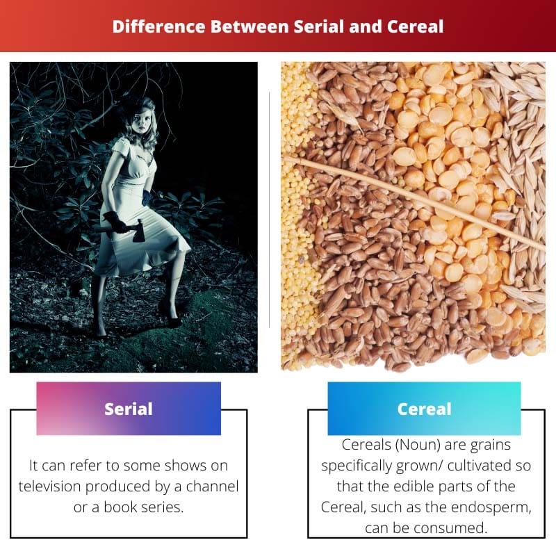 Difference Between Serial and Cereal