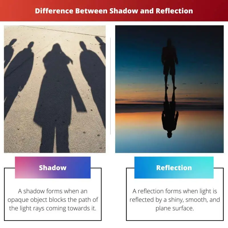 Difference Between Shadow and Reflection