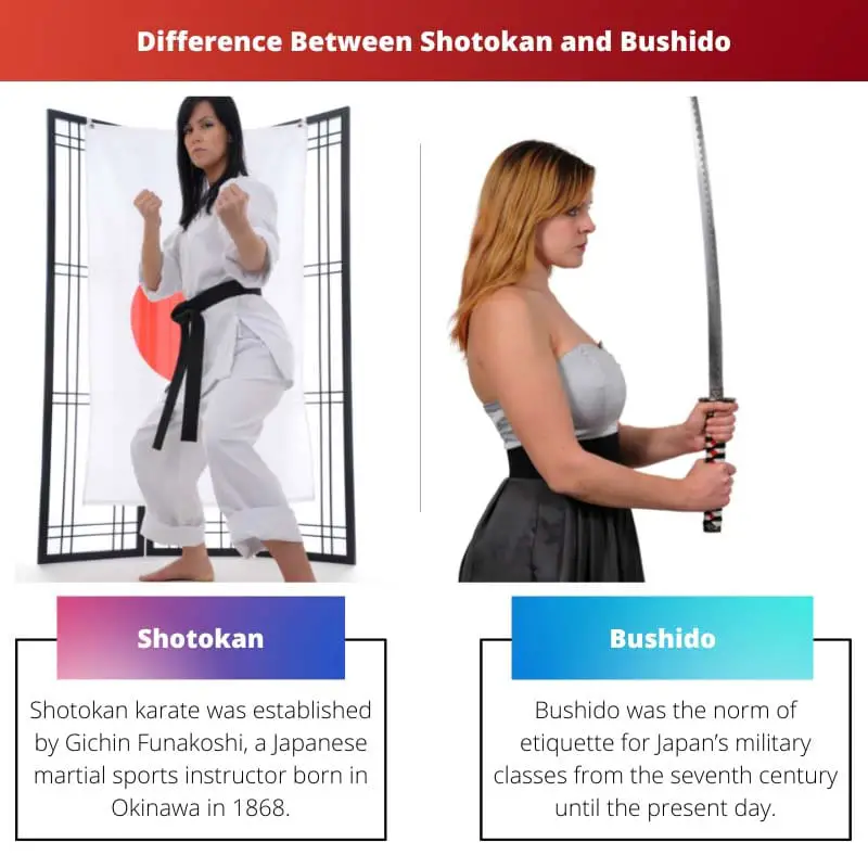 Difference Between Shotokan and Bushido