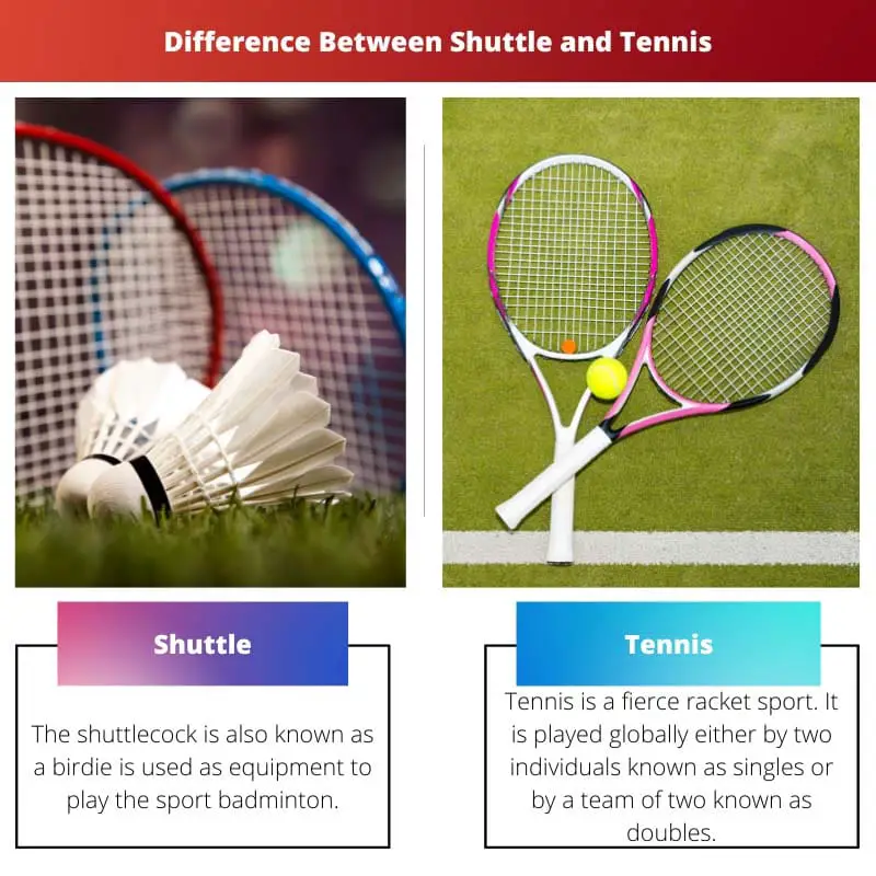 Difference Between Shuttle and Tennis