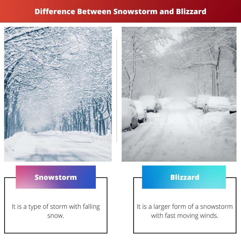 Difference Between Snowstorm and Blizzard