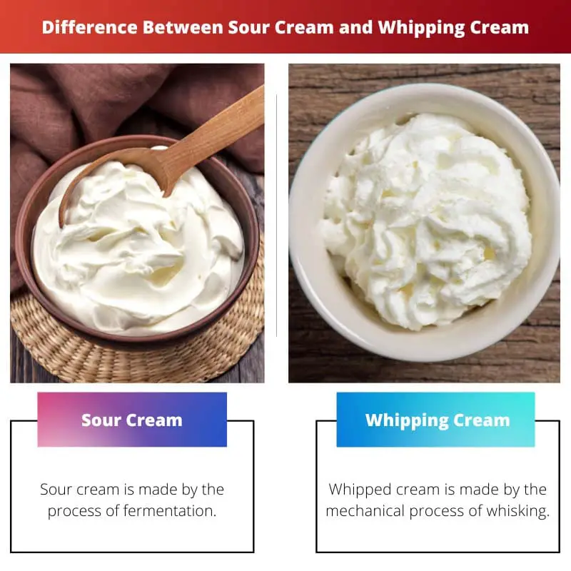 Difference Between Sour Cream and Whipping Cream