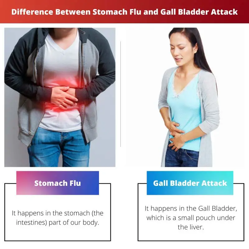 Difference Between Stomach Flu and Gall Bladder Attack