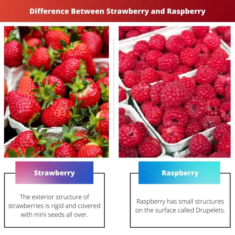 Difference Between Strawberry and Raspberry
