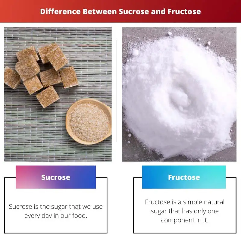 Difference Between Sucrose and Fructose