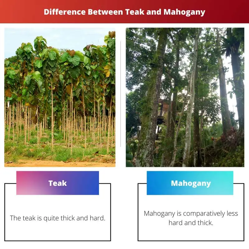 Difference Between Teak and Mahogany