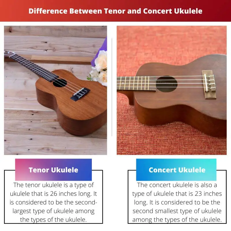 Difference Between Tenor and Concert Ukulele