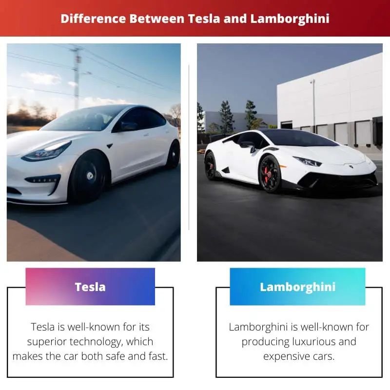 Difference Between Tesla and Lamborghini