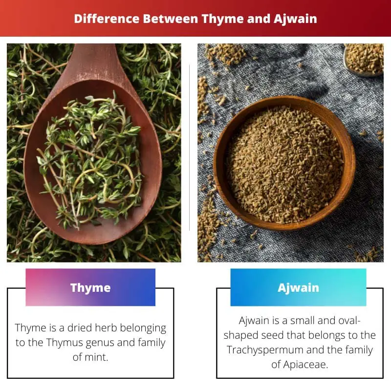 Difference Between Thyme and Ajwain